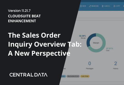 The Sales Order Inquiry Overview Tab: A New Perspective